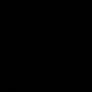 Meet your Posher, Noemi